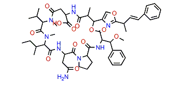 Discokiolide A